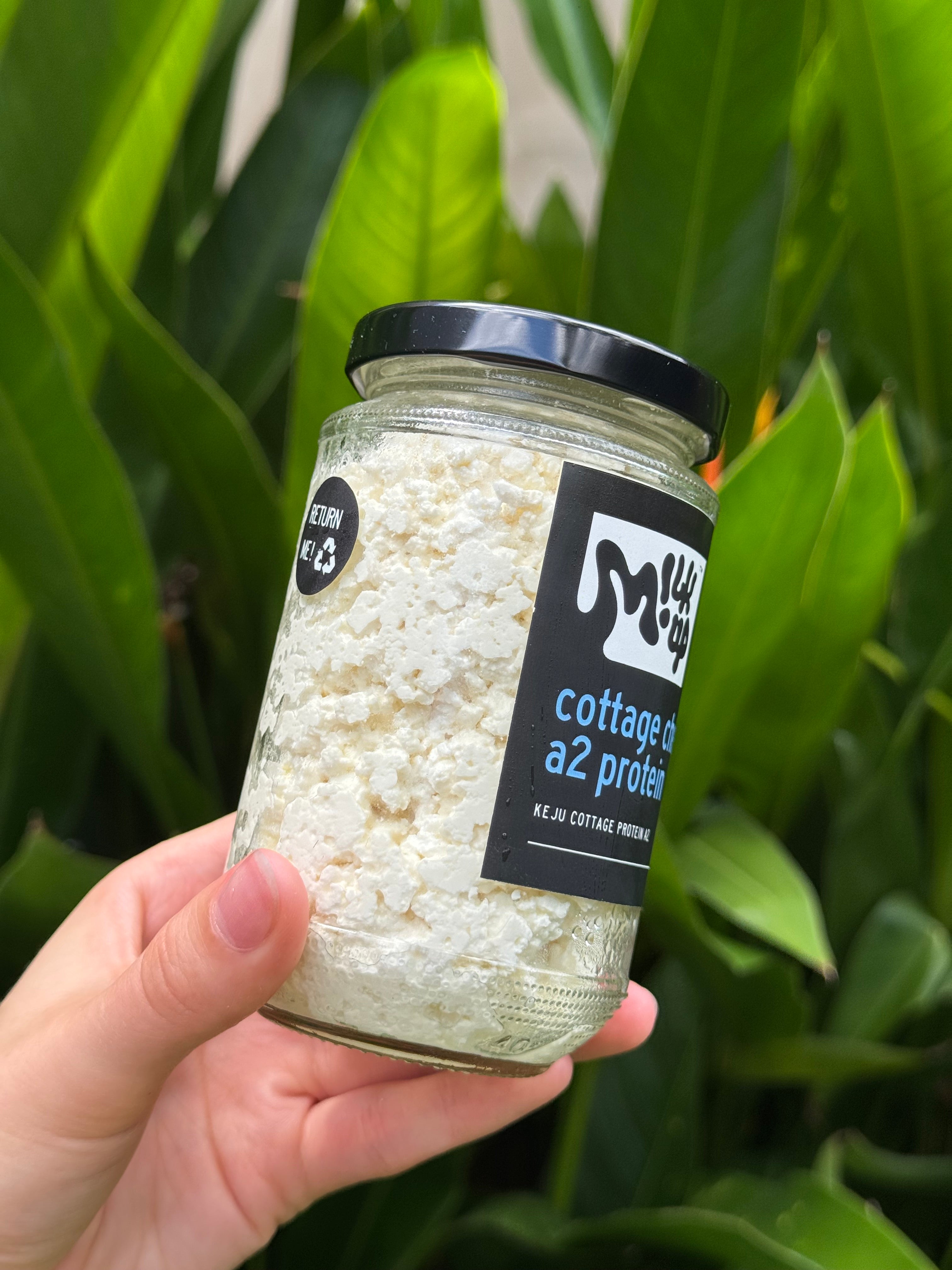 A2 protein Cottage Cheese, protein product, sugar-free, 250, glass