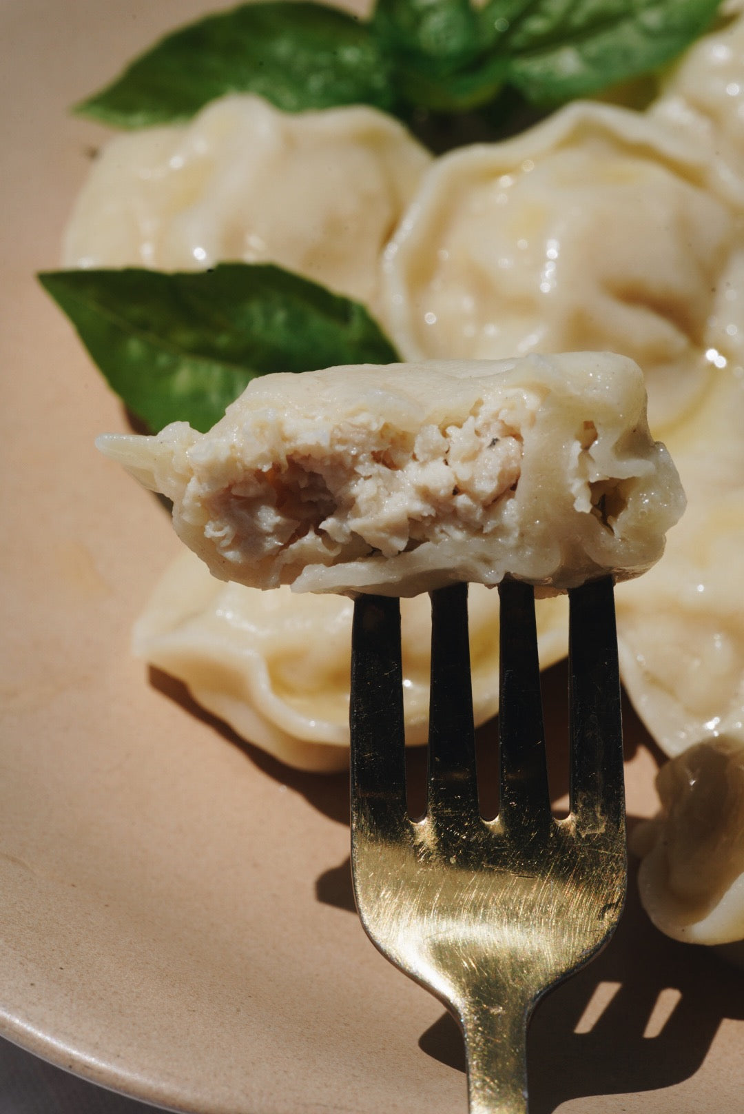 Chicken Dumplings, 500g