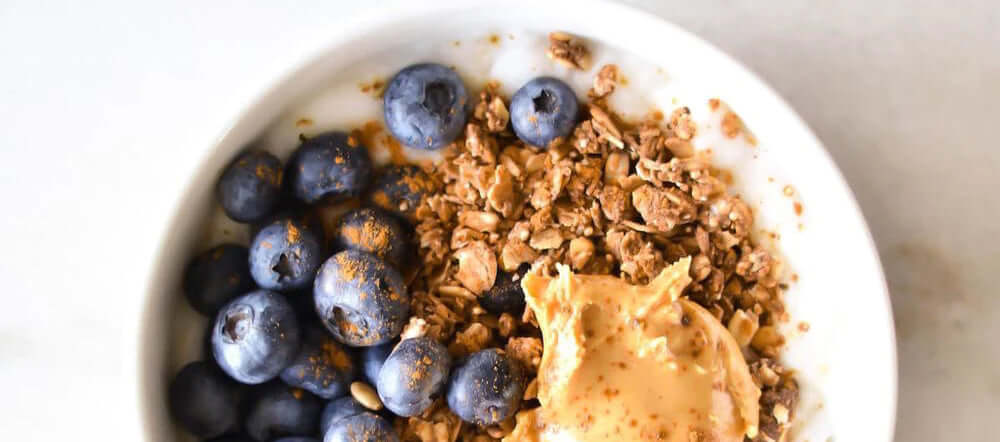 Blueberry granola goat yogurt bowl