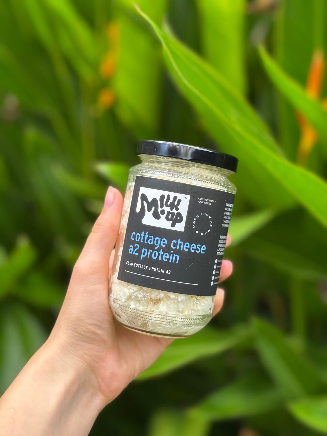 A2 protein Cottage Cheese, protein product, sugar-free, 250, glass