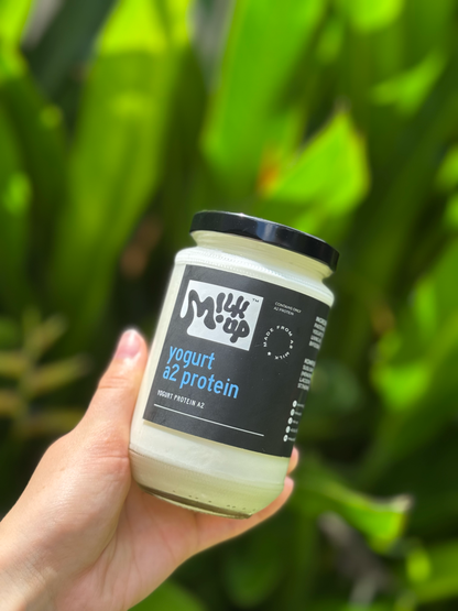 A2 protein Yogurt, cupset cultured probiotics, sugar-free, 330ml, glass