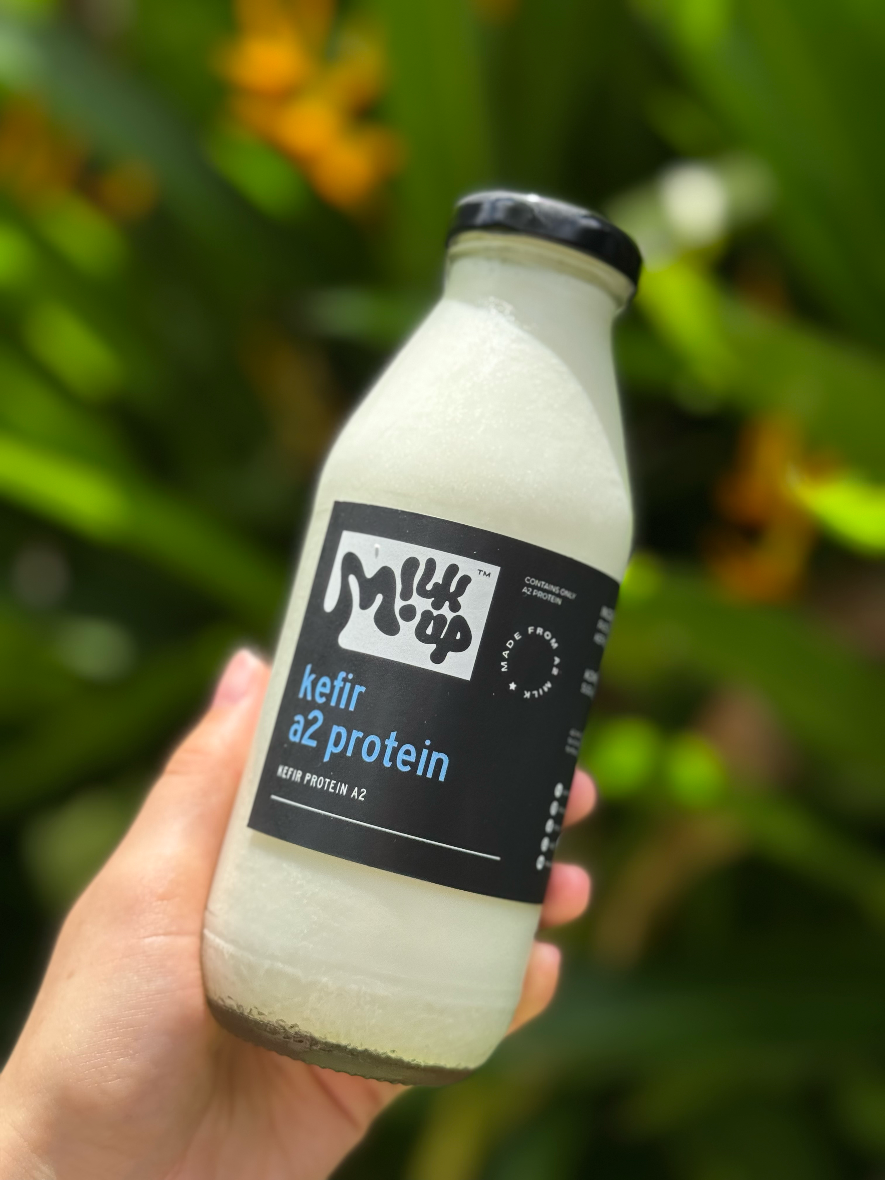 A2 protein Kefir, probiotic drink, sugar-free, 350ml, glass